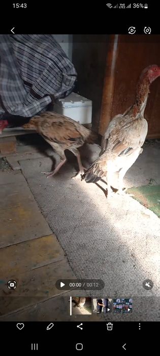 Обмен нету вообще