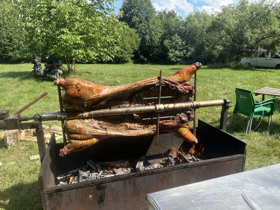 , porc , berbec , vitel , toate facute la protap!