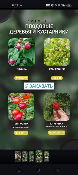 Плодовые деревья и кустарники