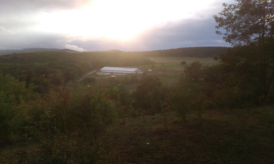 Hala la cheie , investiție premium, zona verde Dej