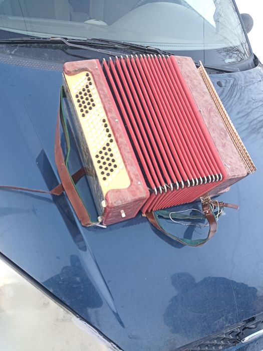 Гармошка музыкальный инструмент