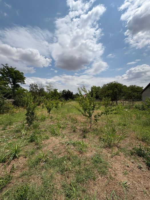 Teren de vanzare Plumbuita ( Tamadau)