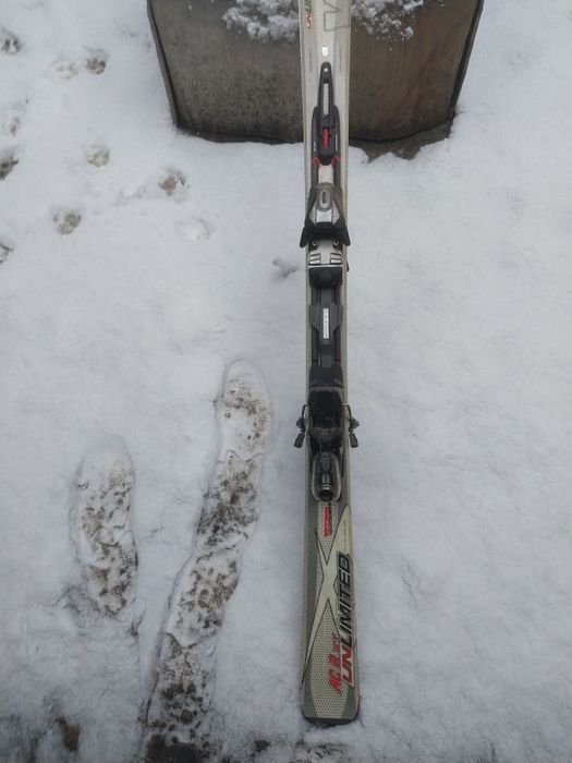 Лыжи горные продам.