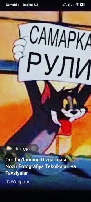 Самарканд дача отдых