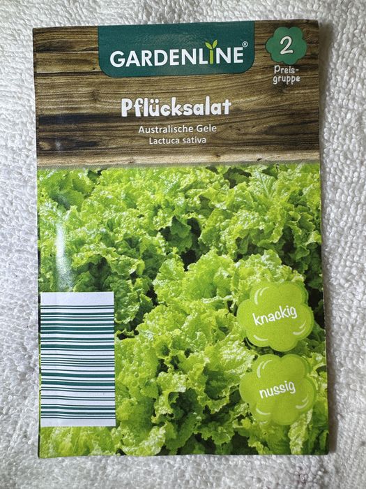 Семена моркови.