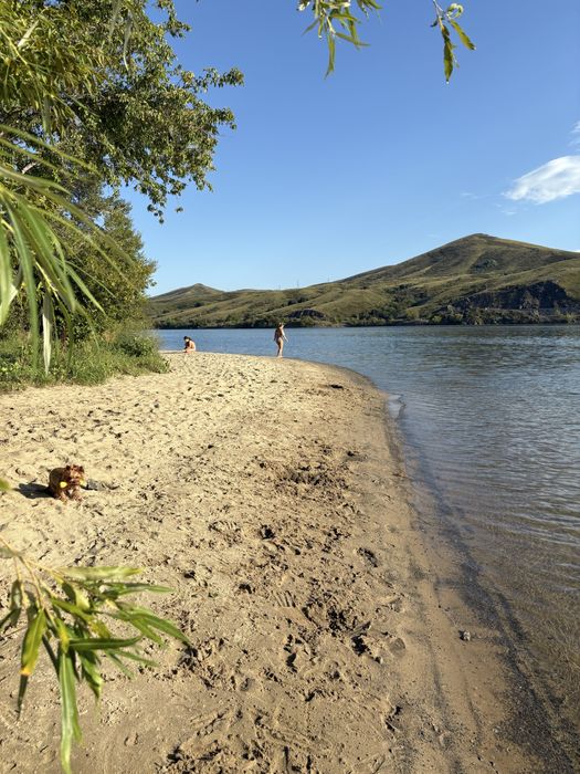 Продам дачу в  СО « Авиатор»