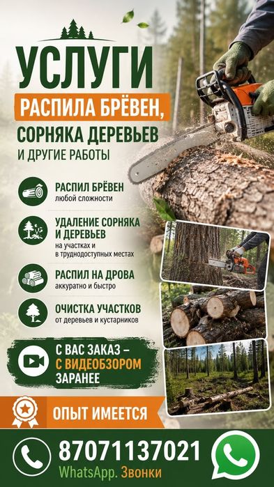 Услуги Распила деревьев,  брёвен. Так же скошу траву любой сложности.
