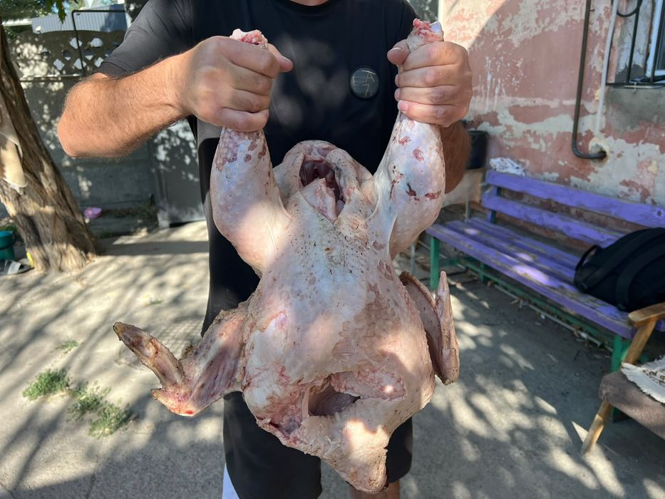 Мясо домашних индюков ,жд вокзал