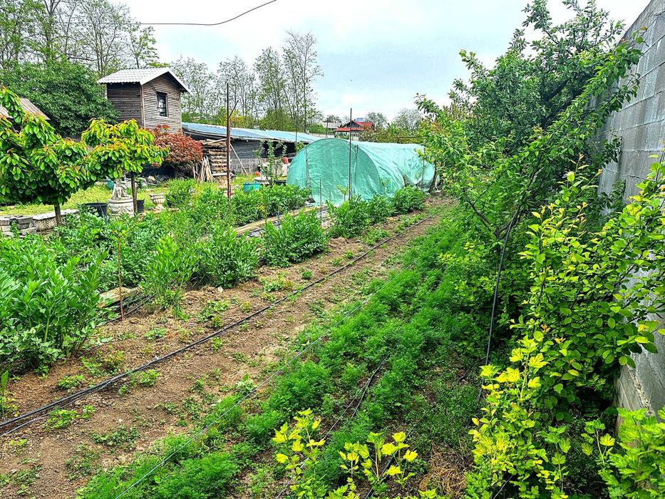 Proprietar – teren intravilan 1.522 mp, 2 intrări utilități gard beton sere lac – zona CAP