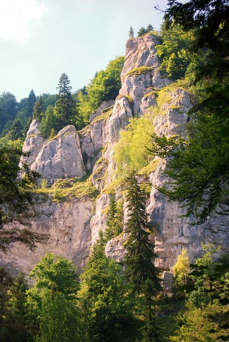 Nikon D40X - Перфектен за Начинаещи, Пълен Комплект с с Обектив 18-55