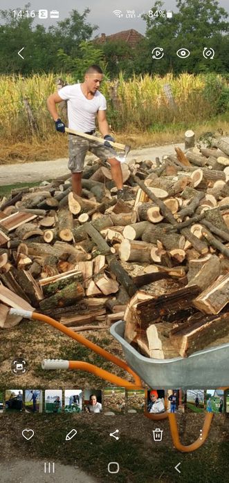 Tai lemne cu moto ferăstrău Stihl.