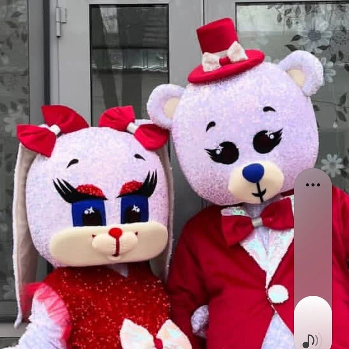 Прокат Мишки  Тедди и зайки  Банни