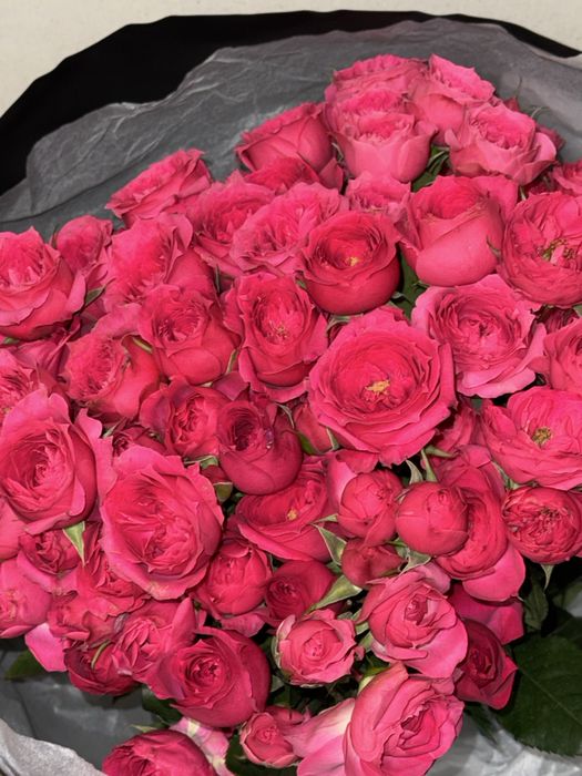 Кустовые розы 15 веток