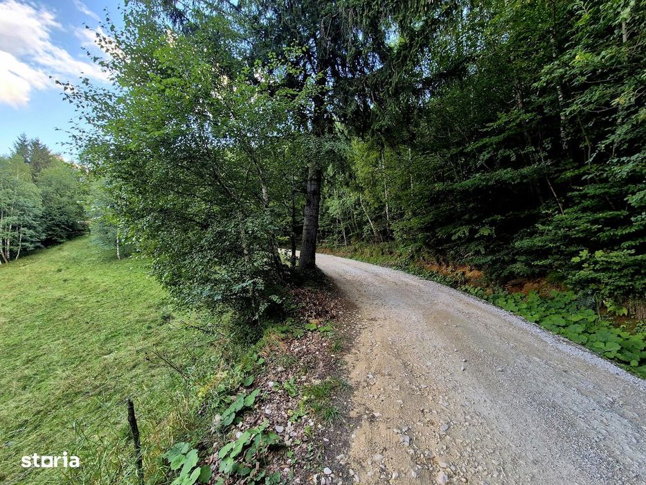 Teren investitie 8635 mp extravilan , Pestera Brasov