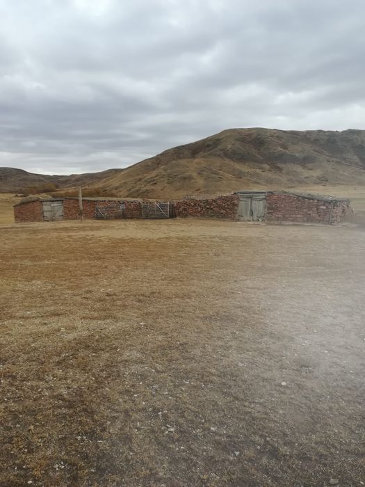 Продам Зимовку Каркаралинск