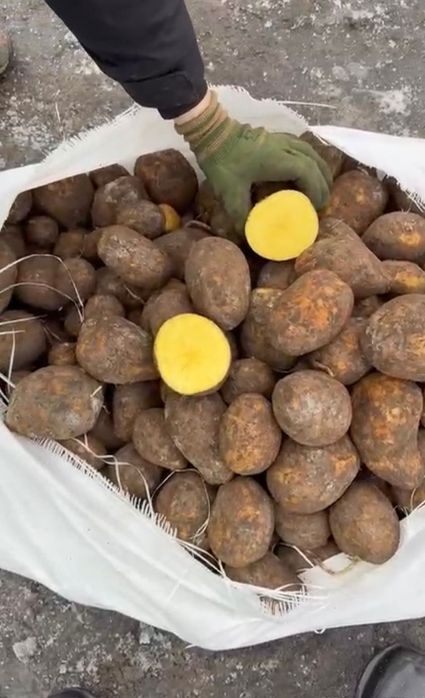 Продам картофель микс оптом
