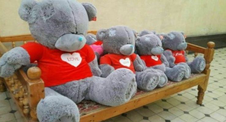 Myaxkiy Мяхкий Тедди Teddi Teddy Ayiq yumshoq oyinchoqlar (30sm 3m)