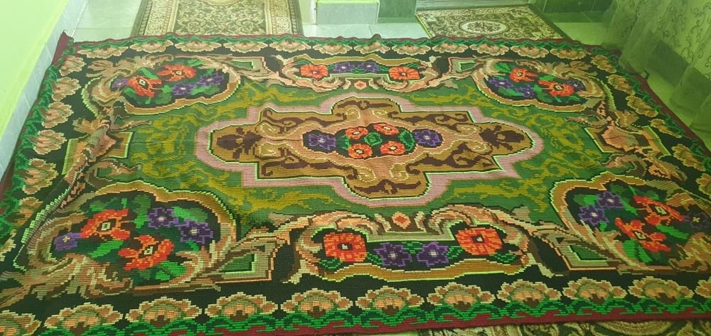 Vând pocrut an 3 iță.