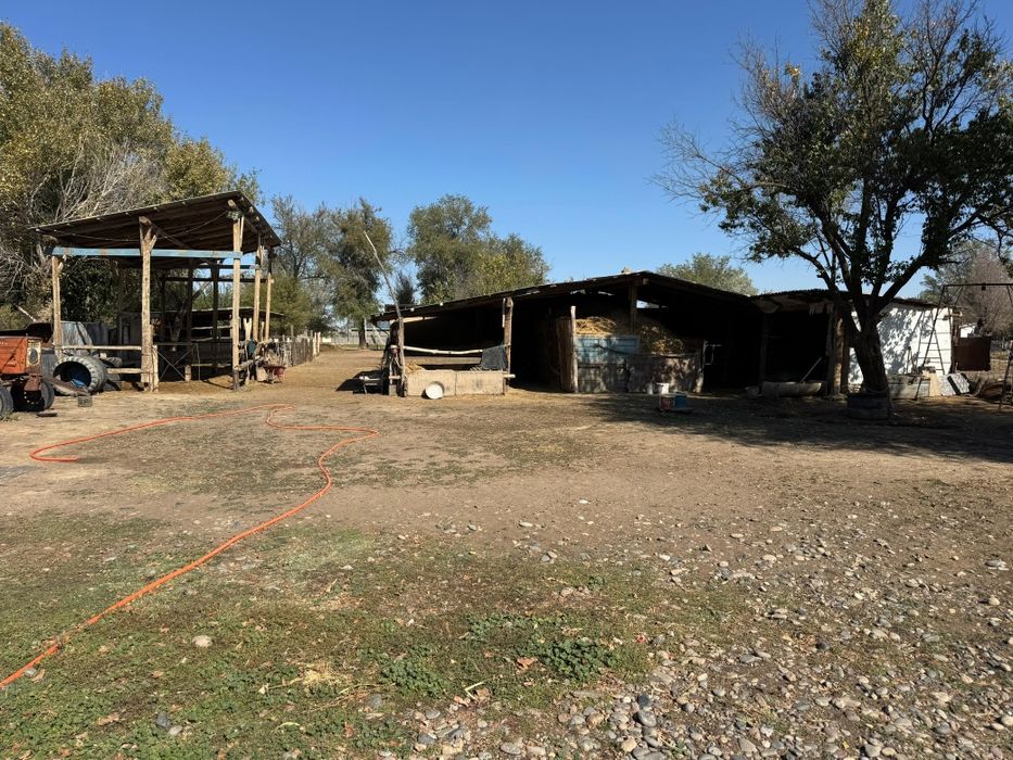 Үлкен үй.       .