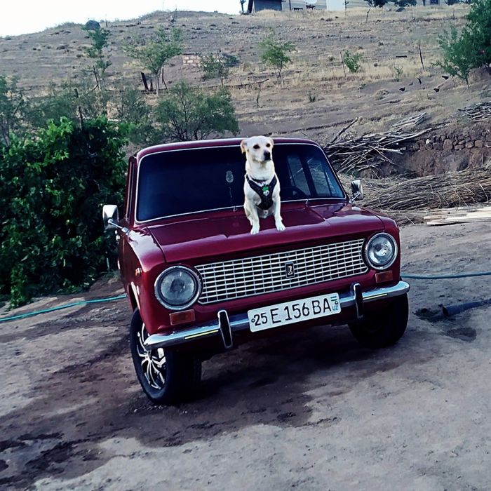 Vaz 2101 yili 1979