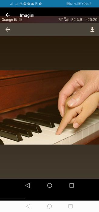 Cursuri, Lectii, Clape, Acordeon,Canto, Online