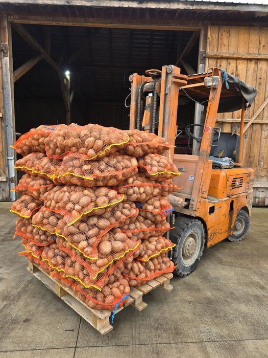 Cartofi mari si cartofi de samanta