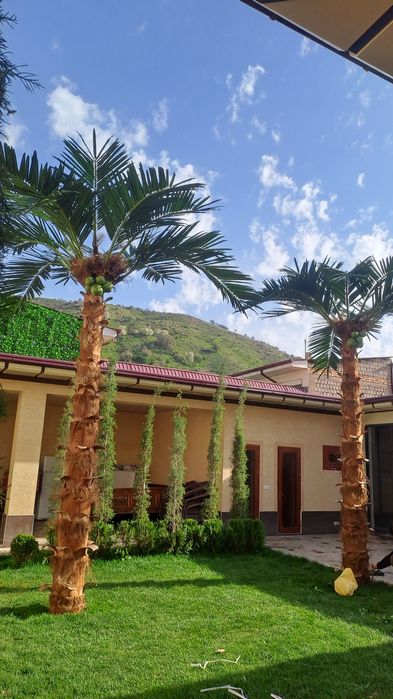 Sun'iy eko palmalar | bepul dizayn loyihasi | 30% chegirma