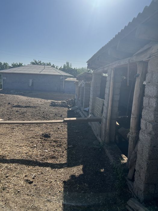 Yer uchaska hovli mol boqishqa sharoyit bor