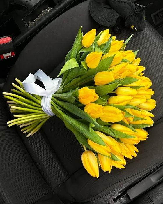 Тюльпаны желтые и белые