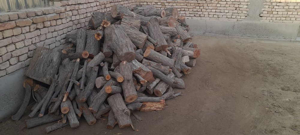 У́рик у́тинлари келишилган нархда сотилади