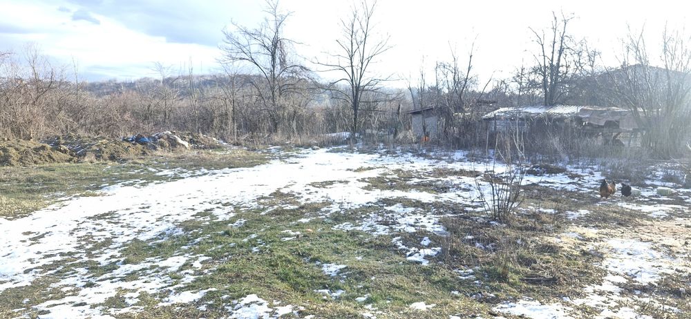 Teren intravilan Poiana Camina 1300 mp