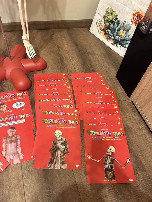 Колекция човешкото тяло