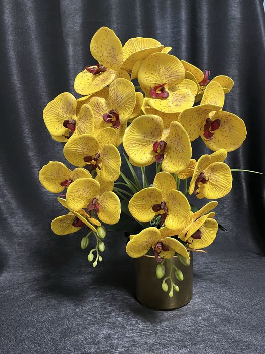 Arajnament orhidee premium