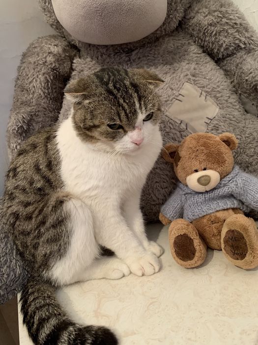 Хорошие руки!