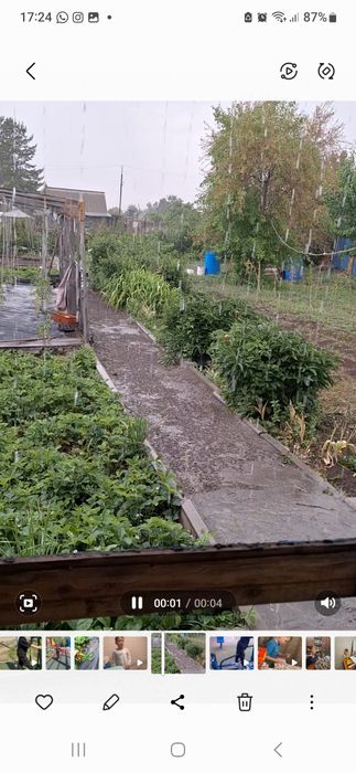 Продам дачу в Сортировке, общество Ромашка