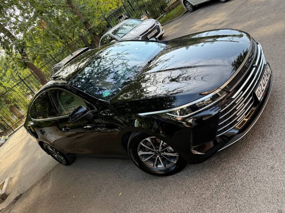 BWD chazor gibrid 15000 yurgan sotiladi