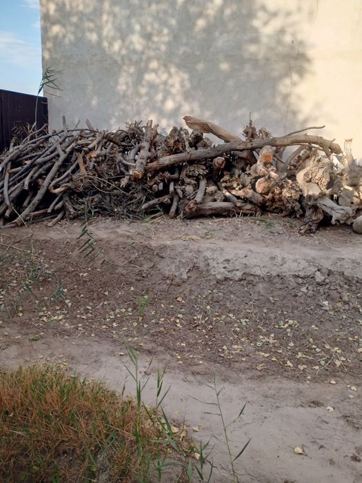 Янгиарик остонада утин