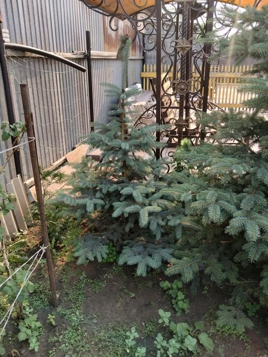 Дом продам или поменяю