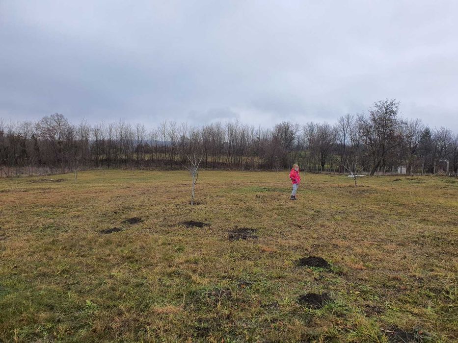 Teren deosebit 11.000 MP + LIVADĂ DE NUCI | Pârscov – Măgura, BUZĂU | Ideal pensiune / glamping
