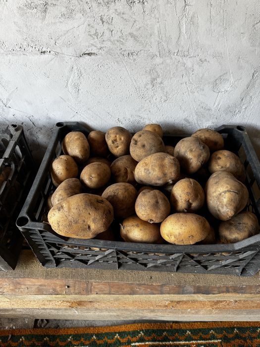 Продам картофель “