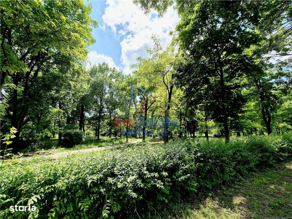 Apartament 3 Camere Luminos si cu Vedere Frumoasa
