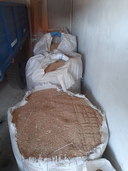 Grau de vanzare 2025