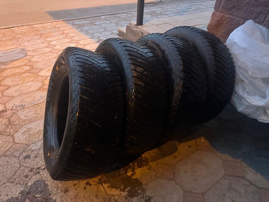 шины супер мягкий германский