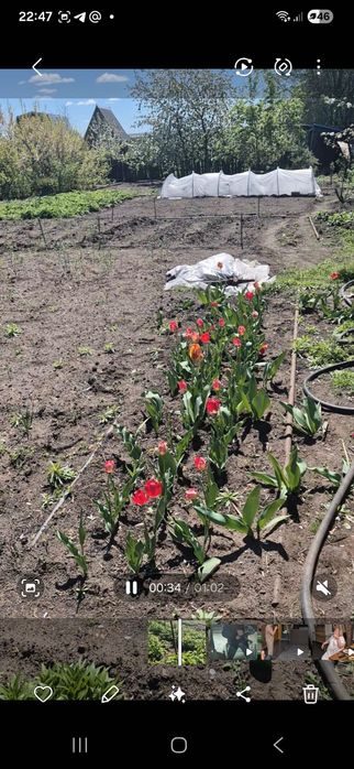 Огород 6 соток первое общество маршрут 17 вторая остановка