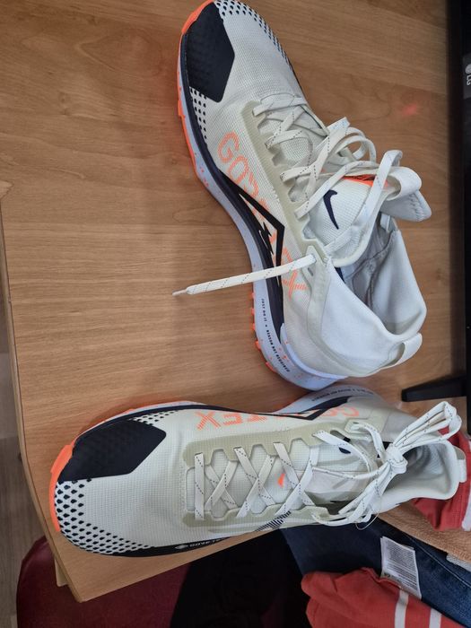 Nike Pegasus Gore tex