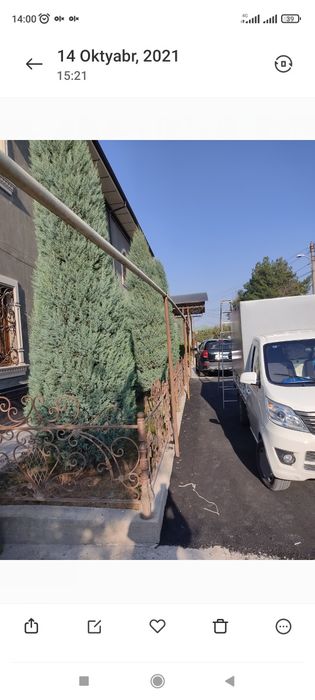 Archa ekish dorilash kesish