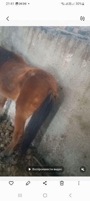 Продам бие обмен