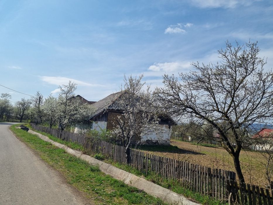 Casa cu teren 44 arii