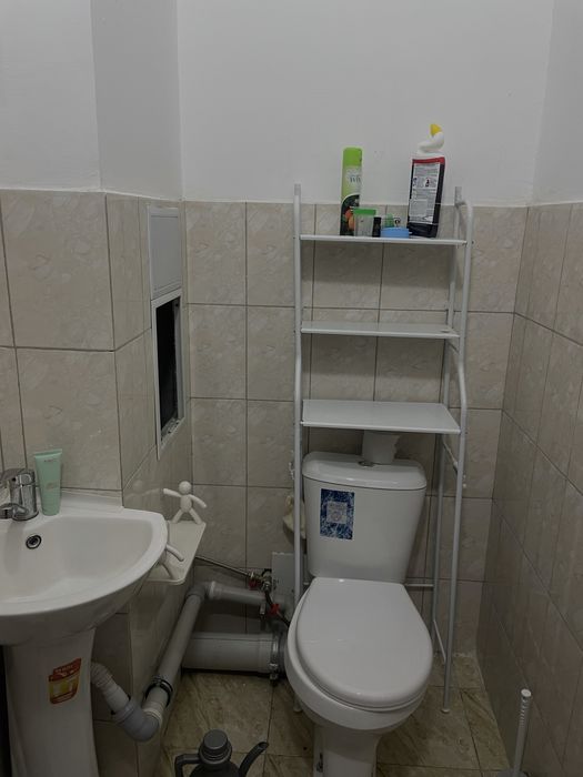 Узбум обод макон 2/2/5 в Обод макон, узбум, первушка