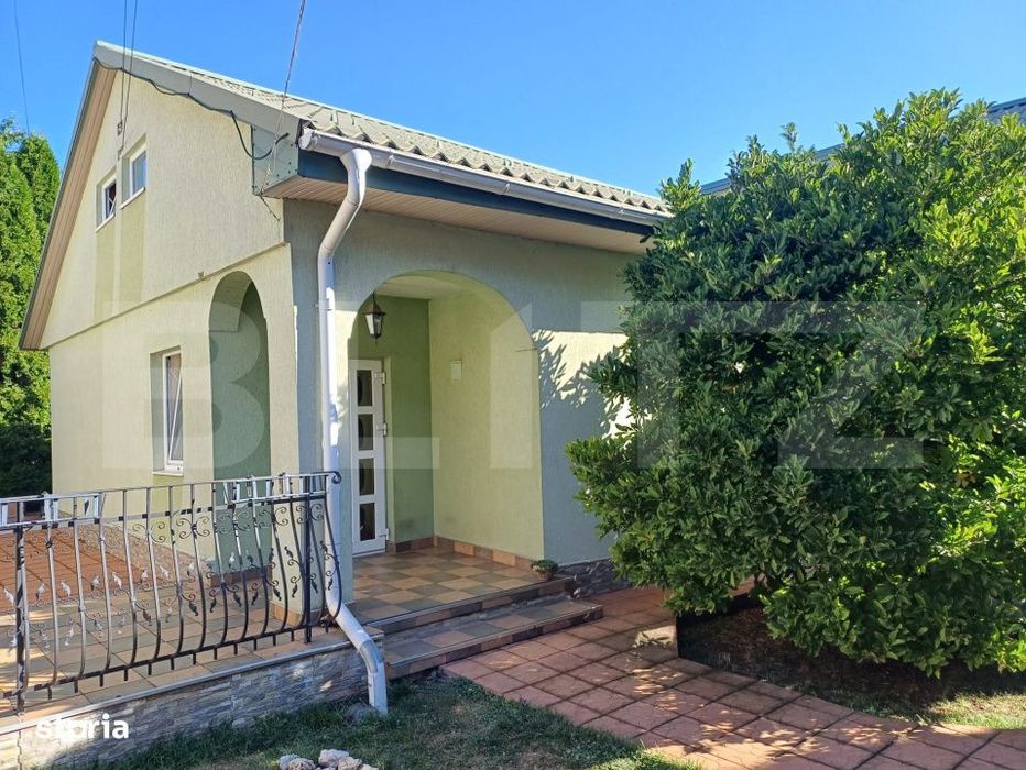 Vila cu foisor si cabana, Suceava zona centrala